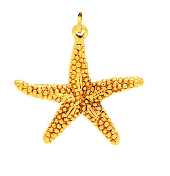 Giovanni Raspini Seestern-Charm-Anhänger aus 925er Silber, Gold-PVD-Finish 8563